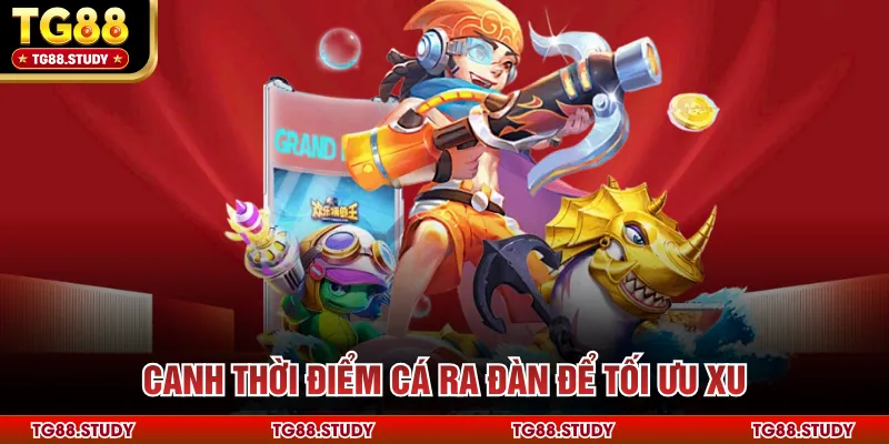 Canh thời điểm cá ra đàn để tối ưu xu