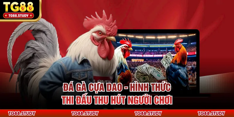 Đá Gà Cựa Dao - Hình Thức Thi Đấu Thu Hút Người Chơi